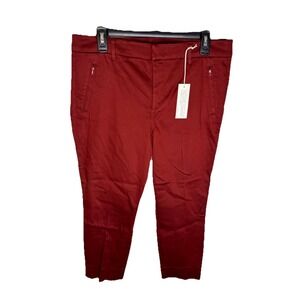 Anthropologie Level 99 Francis Pants Womens Petite Size 32 Straight Stitch Fix